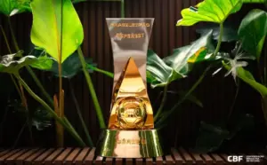 Série B: Confira o que cada time precisa para garantir o acesso