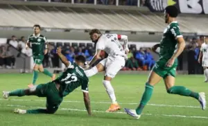 Palmeiras tropeça e Flamengo assume a ponta com goleada