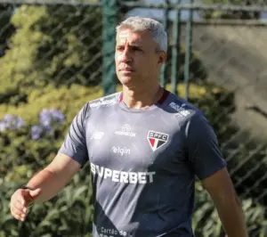 Screenshot 2025 11 27 at 09 59 33 img 6886 1229x1536.jpg imagem JPEG 1229 × 1536 pixels Redimensionada 62