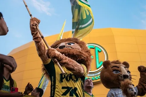 Mirassol já estipulou premiação por vaga inédita na Libertadores. Veja!