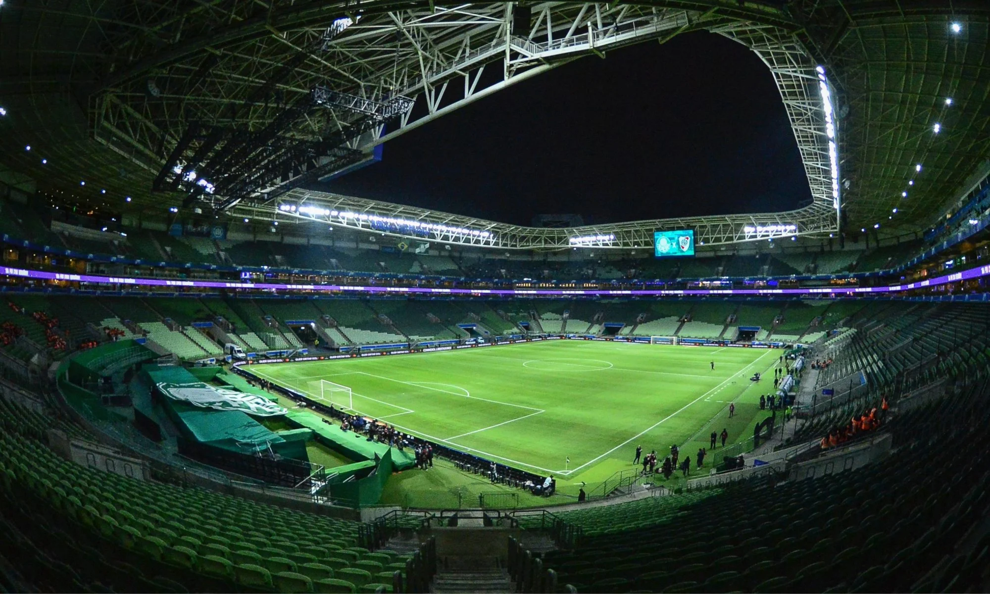 Gramado sintético do Allianz Parque - Foto: Divulgação/Palmeiras