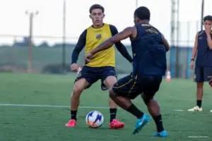 Novorizontino aposta em força em casa contra o Guarani