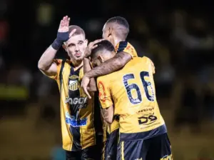 Tigre x Pantera - 21º duelo entre Novorizontino e Botafogo