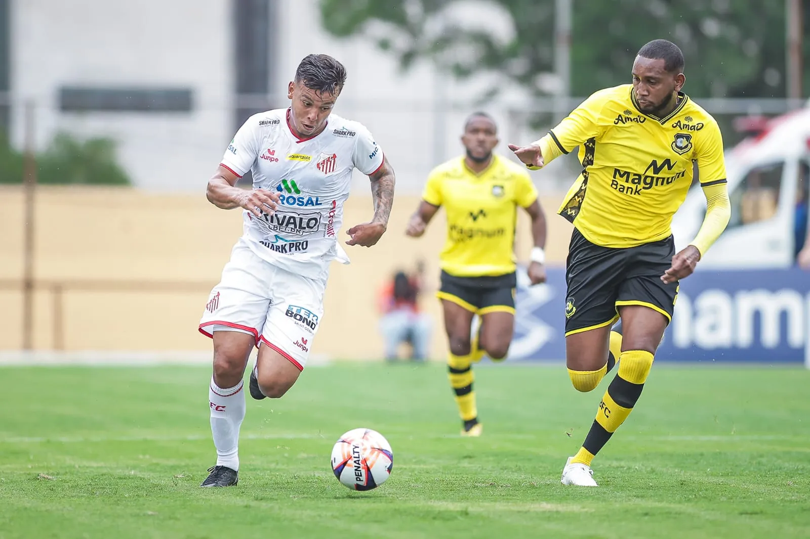 São Bernardo 4 x 0 Capivariano - Estreia com passeio pelo Paulistão (Foto: José Augusto)