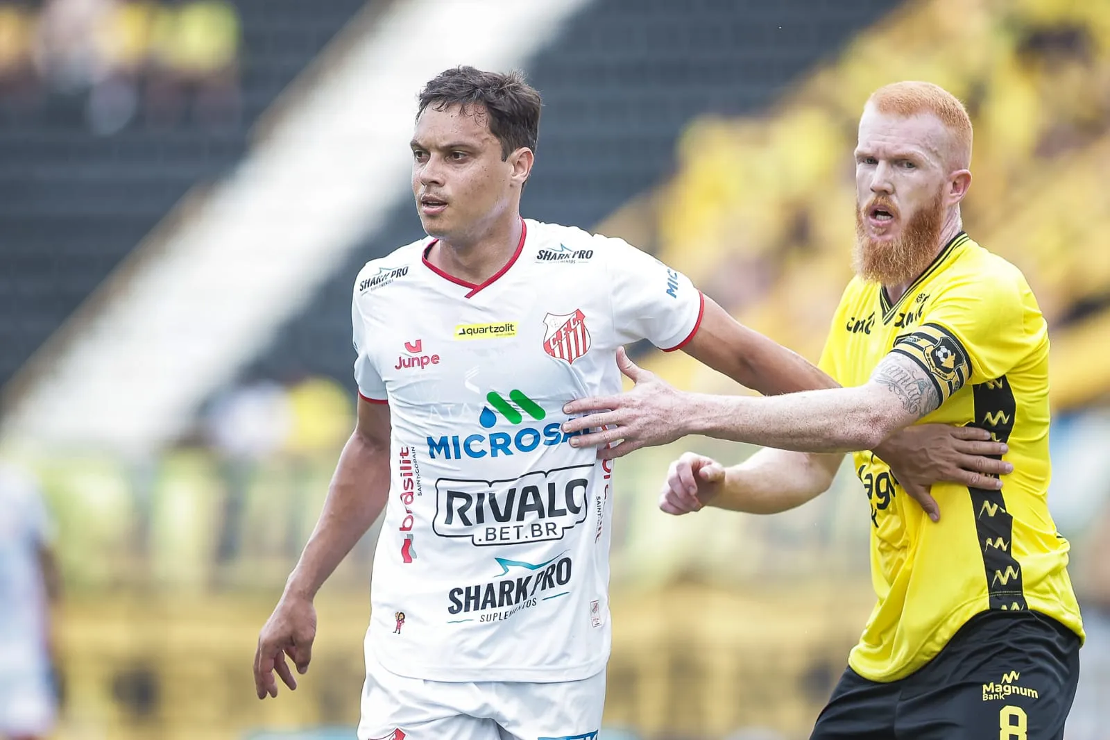 São Bernardo 4 x 0 Capivariano - Estreia com passeio pelo Paulistão 3 São Bernardo 4 x 0 Capivariano - Estreia com passeio pelo Paulistão (Foto: José Augusto)