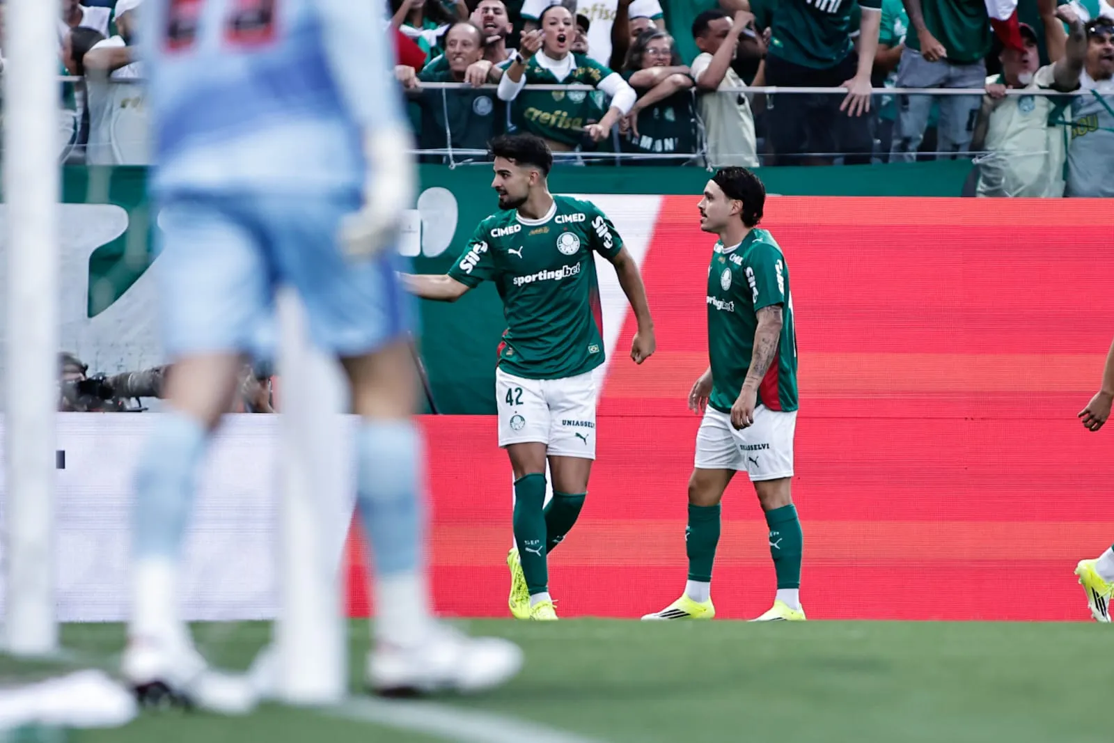 PAULISTÃO: Palmeiras vence São Paulo e Ponte Preta segue no Z-2 (Foto: Karen Fontes)