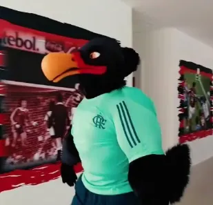 Mascotes esportivos brasileiros: qual o segredo do sucesso?