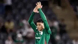 Palmeiras confia em Luis Pacheco e projeta futuro promissor no elenco