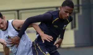 Fluminense e Botafogo seguem disputando jogador do Novorizontino