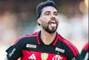 Botafogo 1 x 2 Flamengo - Agora é Madureira na semifinal