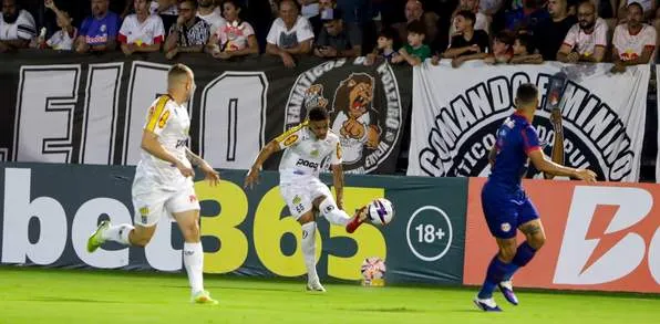 PAULISTÃO: Veja os classificados, rebaixados e jogos das quartas 4 Paulistão - 2026