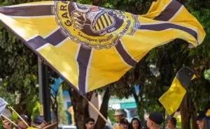 Novorizontino colhe frutos de planejamento sólido em 2026