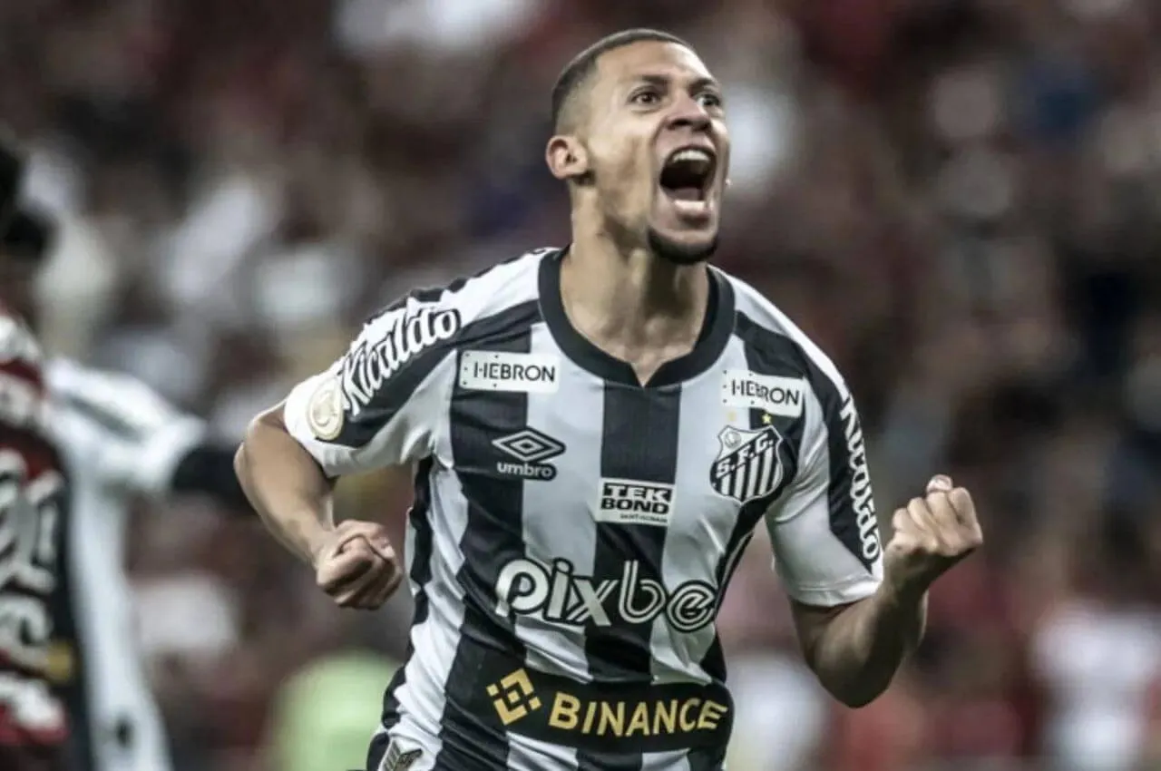 Ponte Preta tenta empréstimo de Alex Nascimento - Foto: Ivan Storti/Santos