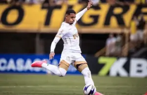 Renato Marques desfalca Mirassol por tempo indefinido