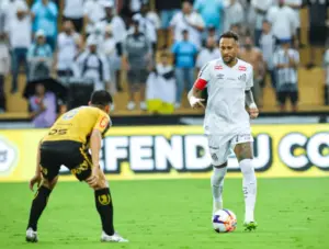 Vojvoda trata eliminação do Santos como 'aprendizado'