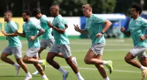 Palmeiras retoma atividades com elenco reduzido na Data Fifa