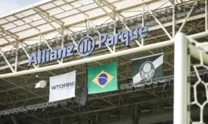 Palmeiras tenta quebrar jejum contra o Botafogo no Allianz