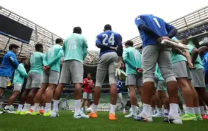 Palmeiras ganha aval da Fifa e pode voltar a jogar no Allianz