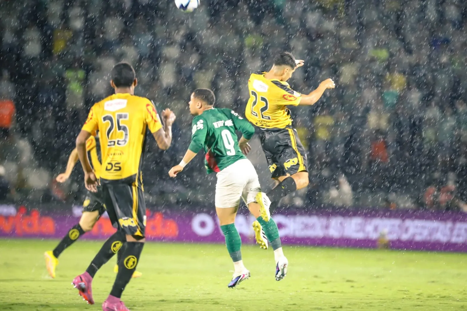 Novorizontino 1 x 2 Palmeiras - Verdão conquista 27º título do Paulistão (Foto: @jotaarnaldophoto)