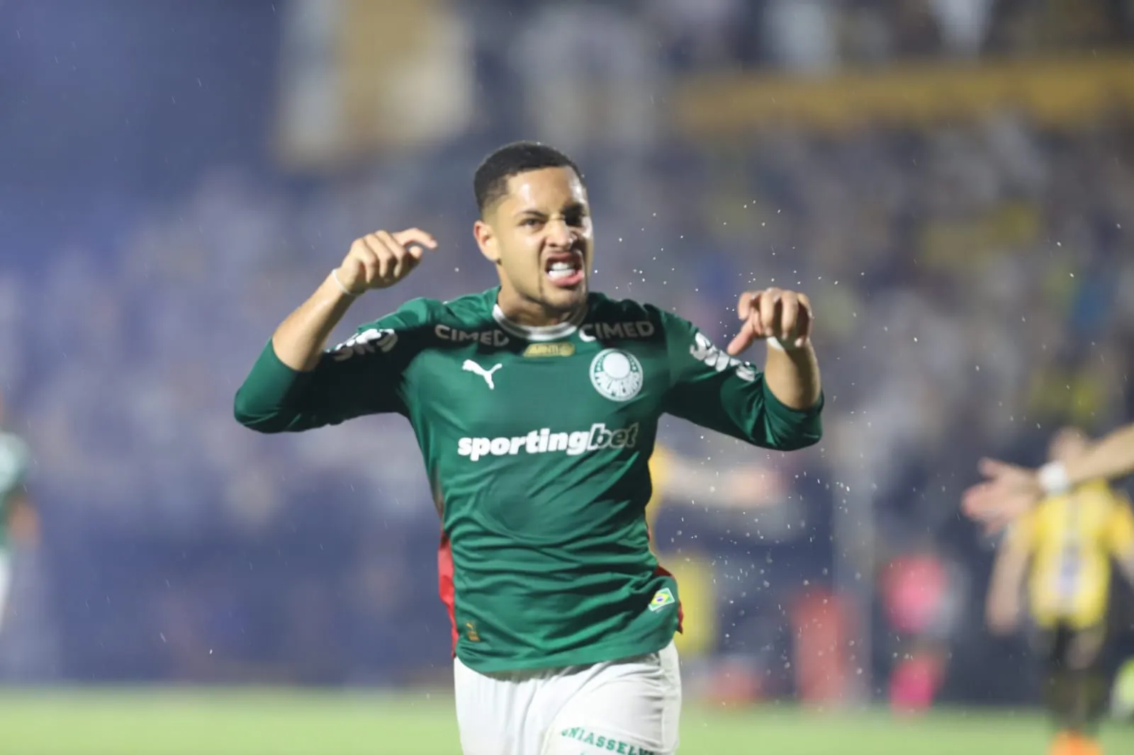 Novorizontino 1 x 2 Palmeiras - Verdão conquista 27º título do Paulistão (Foto: @jotaarnaldophoto)