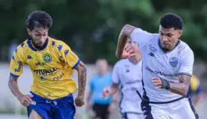 Araçatuba 0 x 0 Comercial - Canário e Leão empatam no Paulistão A4 Rivalo