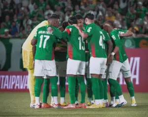 BRASILEIRÃO: Palmeiras vence Botafogo e assume liderança no tropeço do São Paulo