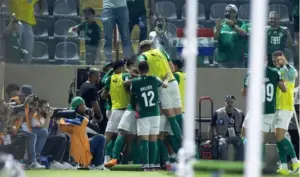 Novorizontino optou por se defender e o Palmeiras teve vitória magra