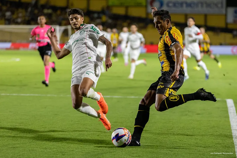 Palmeiras x Novorizontino: veja data e locais da decisão