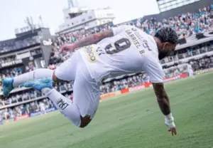 PLACAR FI: Com Brasileirão, confira os RESULTADOS deste DOMINGO