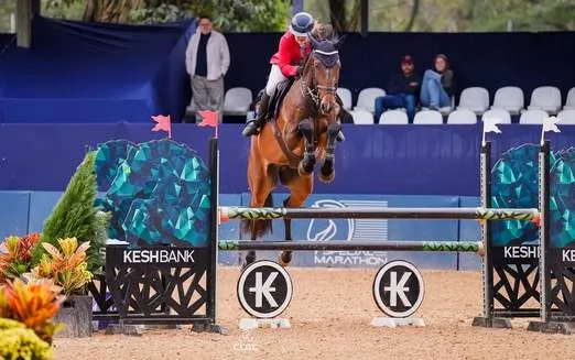 Hípica de Campinas recebe elite do hipismo nacional