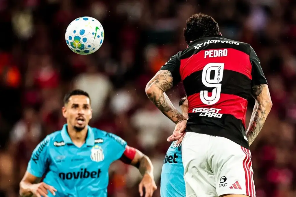 Flamengo 3 x 1 Santos - Peixe sai na frente, mas leva virada! 2 Flamengo 3 x 1 Santos - Peixe sai na frente, mas leva virada! (Foto: Divulgação/Fla)