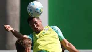 Palmeiras se reapresenta após vitória e mira Copa do Brasil
