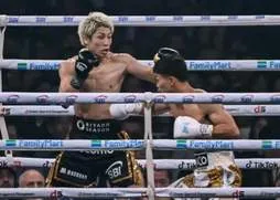 Japão - Boxe - 2026
