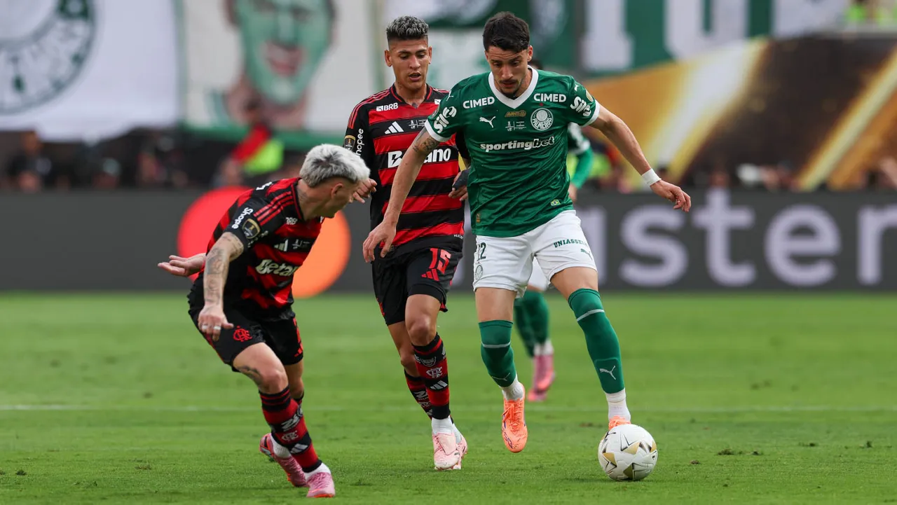DWW50Drf Palmeiras