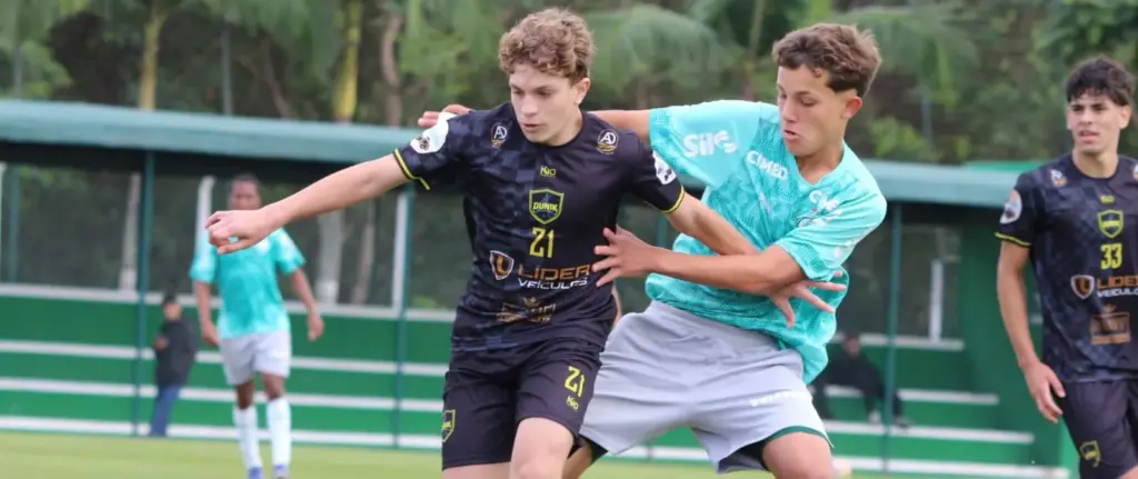 Dunik x Palmeiras 2