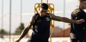 Novorizontino x Botafogo-SP - Onde assistir, horário e escalações!