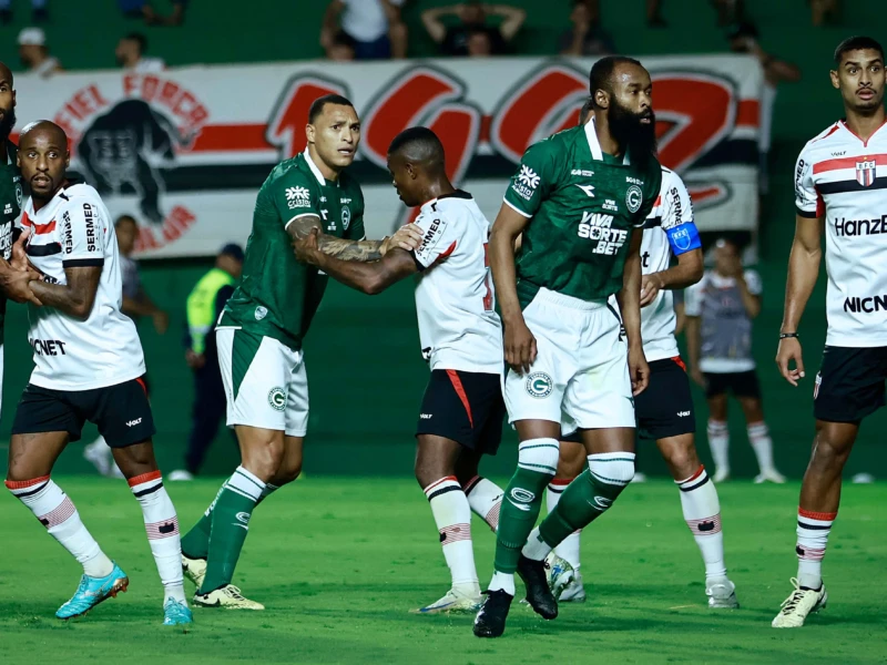 IMG 3355
