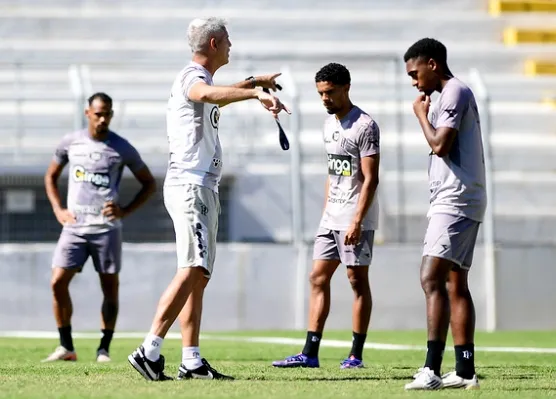 Ponte Preta vem de bom momento na Série B