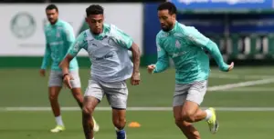 Palmeiras busca liderança do grupo em duelo na Libertadores