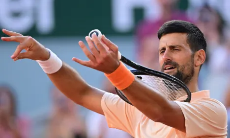 dojokovic elogia joao fonseca