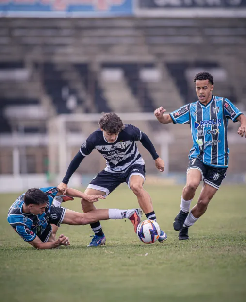 7LOFpgzG image