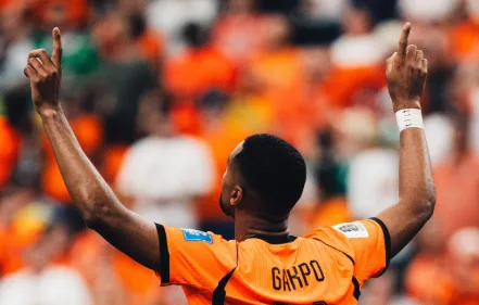 Koeman confirma gakpo contra o marrocos