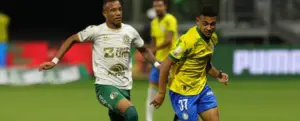 Veja a revisão do VAR de Palmeiras x Chapecoense no gol