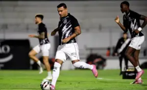 Série B: Ponte Preta terá quatro baixas em estreia de Zanardi