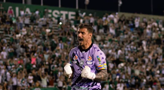Foto: (Divulgação / Gama)