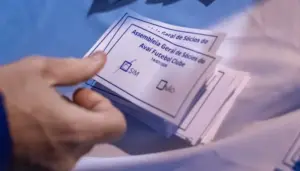 Devendo R$ 300 milhões, sócios do Avaí aprovam SAF