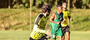 São Bernardo x Cuiabá - Tigre pressionado recebe Dourado embalado em duelo decisivo