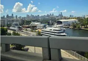 Miami ainda curte vitória do Brasil antes da nova decisão 4 Copa do Mundo