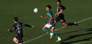 Palmeiras ostenta vantagem sobre o Flamengo na retomada após a Copa