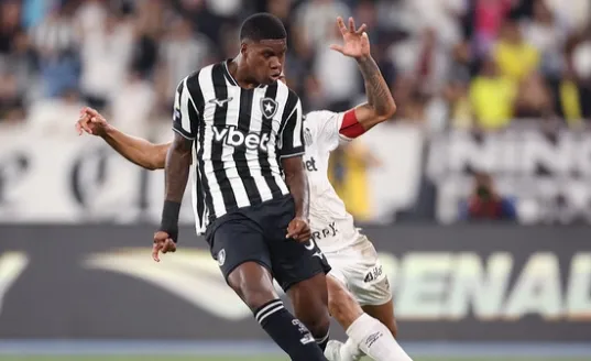 Botafogo vence o Santos no Engenhão